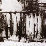 pêcheurs de saumons en 1920