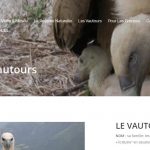 La falaise des vautours à Aste-Béon